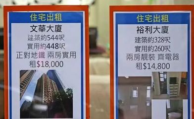 未曾見過香港人居，方知尋常生活貴